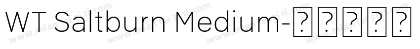 WT Saltburn Medium字体转换
